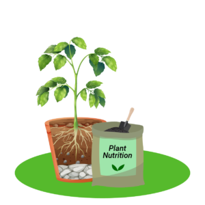 Plant Nutritions