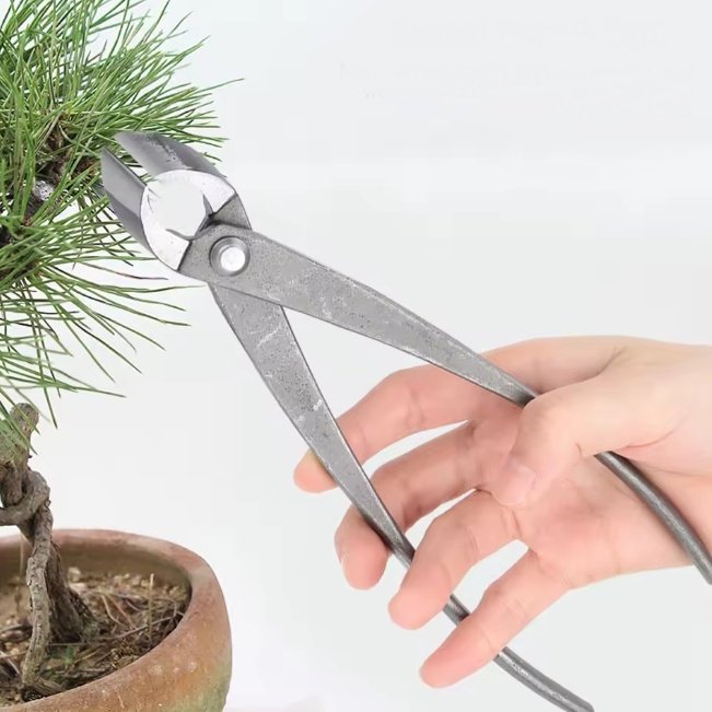 Bonsai Concave Cutter-Premium Bonsai Shaping Tool - Image 4