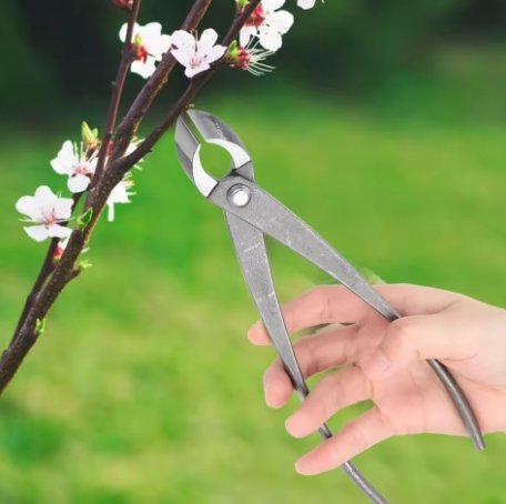 Bonsai Concave Cutter-Premium Bonsai Shaping Tool - Image 2