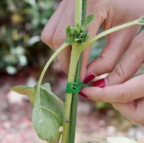 Gardening plastic wrap tie - Image 5